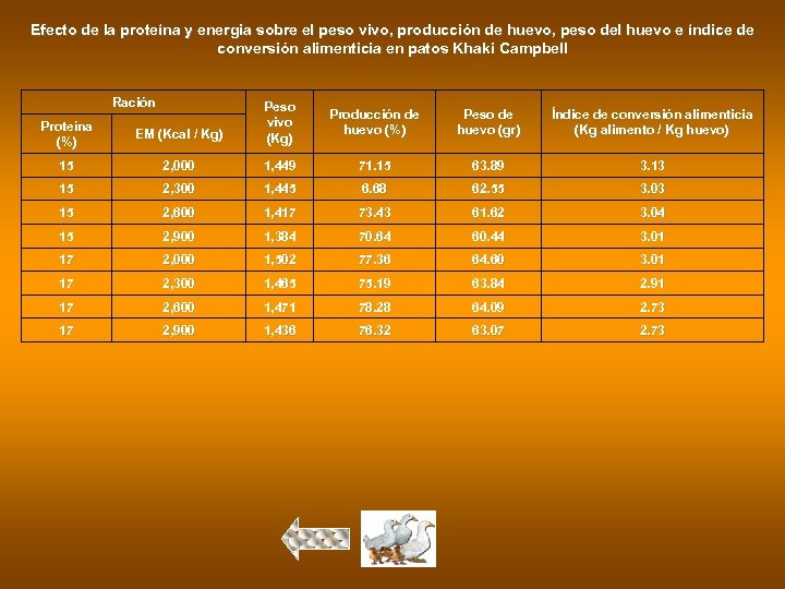Efecto de la proteína y energia sobre el peso vivo, producción de huevo, peso