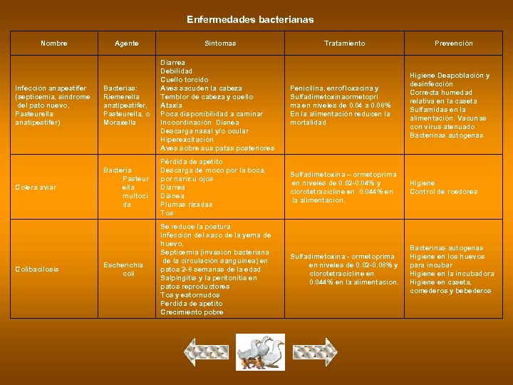 Enfermedades bacterianas Nombre Agente Síntomas Tratamiento Prevención Infección anapestifer (septicemia, síndrome del pato nuevo,