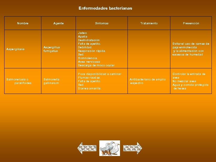 Enfermedades bacterianas Nombre Aspergilosis Salmonelosis o paratifoidea Agente Síntomas Tratamiento Prevención Aspergillus fumigatus Jadeo