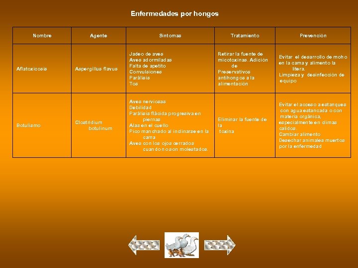 Enfermedades por hongos Nombre Aflatoxicosis Botulismo Agente Síntomas Aspergillus flavus Jadeo de aves Aves