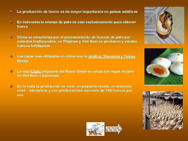 La producción de huevo es de mayor importancia en países asiáticos En Indonesia la