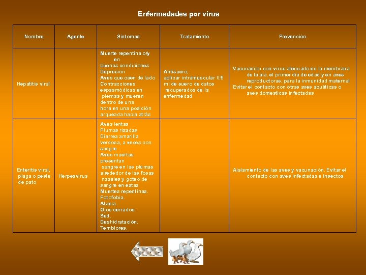 Enfermedades por virus Nombre Agente Síntomas Tratamiento Prevención Hepatitis viral Muerte repentina o/y en