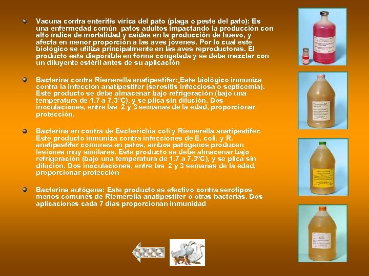 Vacuna contra enteritis vírica del pato (plaga o peste del pato): Es una enfermedad