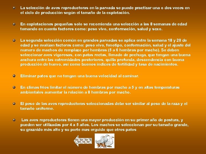 La selección de aves reproductoras en la parvada se puede practicar una o dos