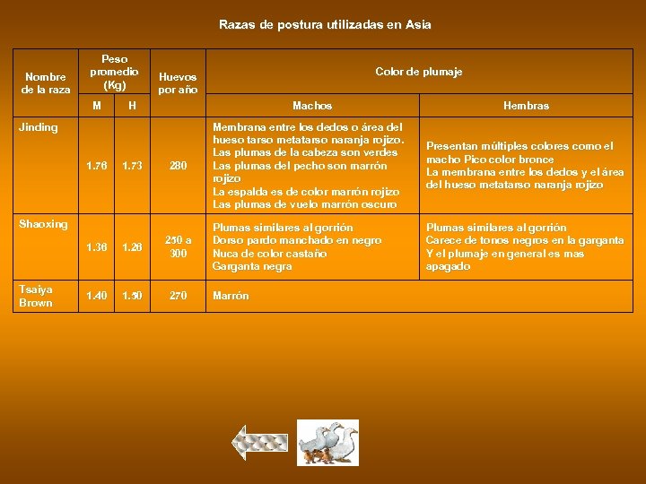Razas de postura utilizadas en Asia Nombre de la raza Peso promedio (Kg) M