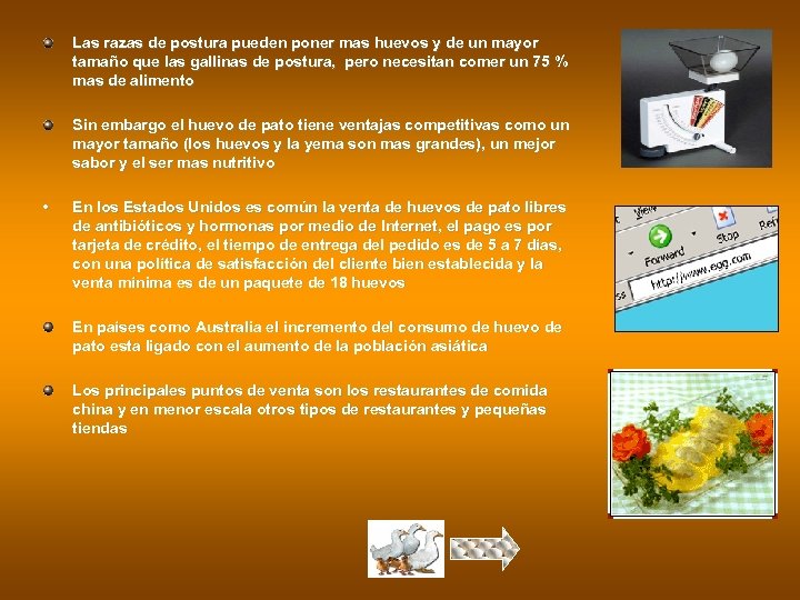 Las razas de postura pueden poner mas huevos y de un mayor tamaño que