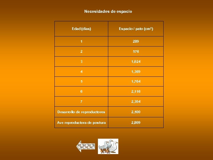 Necesidades de espacio Edad (días) Espacio / pato (cm 2) 1 289 2 576