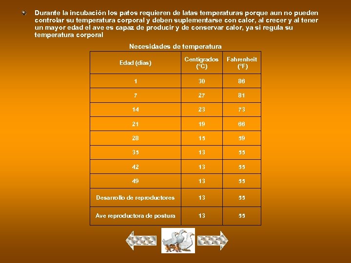 Durante la incubación los patos requieren de latas temperaturas porque aun no pueden controlar