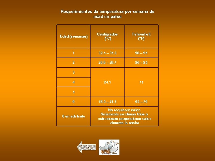 Requerimientos de temperatura por semana de edad en patos Edad (semanas) Centígrados (°C) Fahrenheit