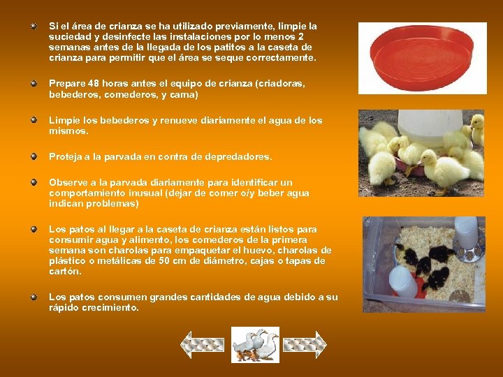 Si el área de crianza se ha utilizado previamente, limpie la suciedad y desinfecte