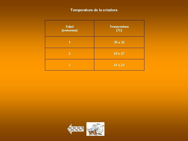Temperatura de la criadora Edad (semanas) Temperatura (°C) 1 30 a 32 2 24
