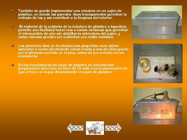 También se puede implementar una criadora en un cajón de plástico, en donde las