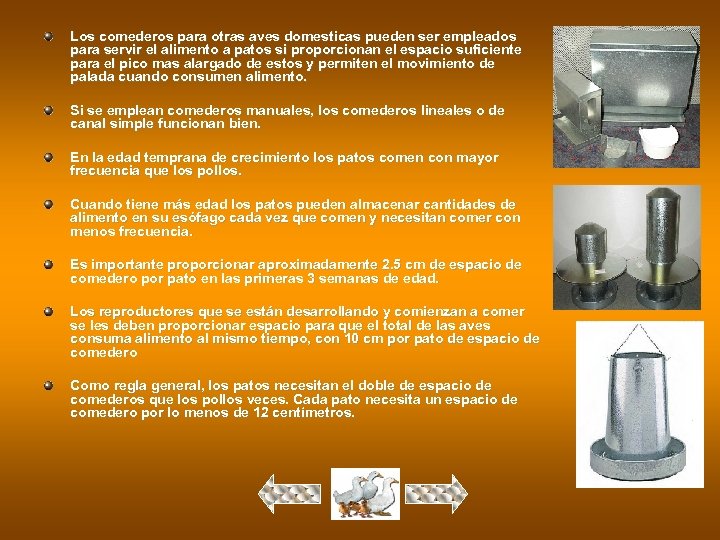 Los comederos para otras aves domesticas pueden ser empleados para servir el alimento a