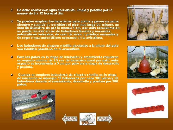 Se debe contar con agua abundante, limpia y potable por lo menos de 8