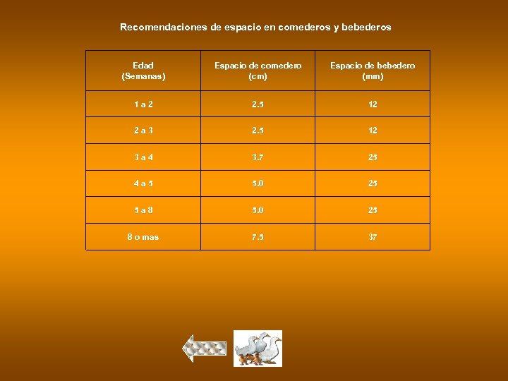 Recomendaciones de espacio en comederos y bebederos Edad (Semanas) Espacio de comedero (cm) Espacio