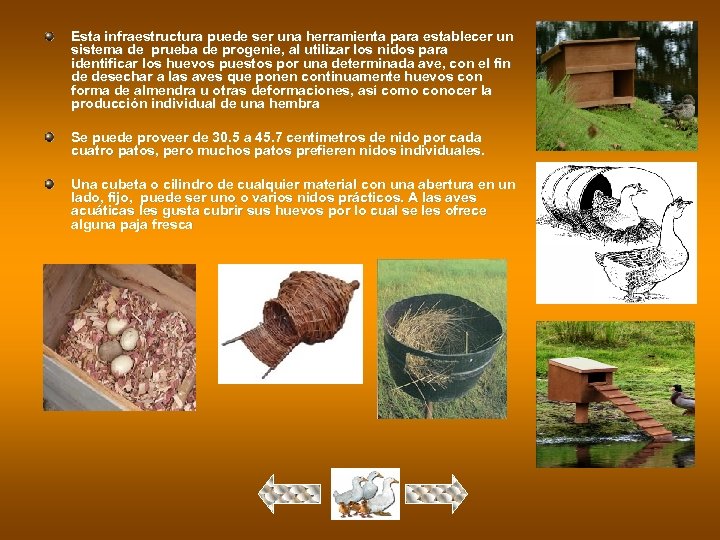 Esta infraestructura puede ser una herramienta para establecer un sistema de prueba de progenie,