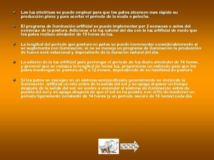 Las luz eléctricas se puede emplear para que los patos alcancen mas rápido su