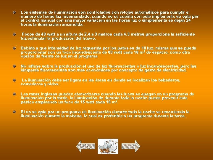Los sistemas de iluminación son controlados con relojes automáticos para cumplir el numero de