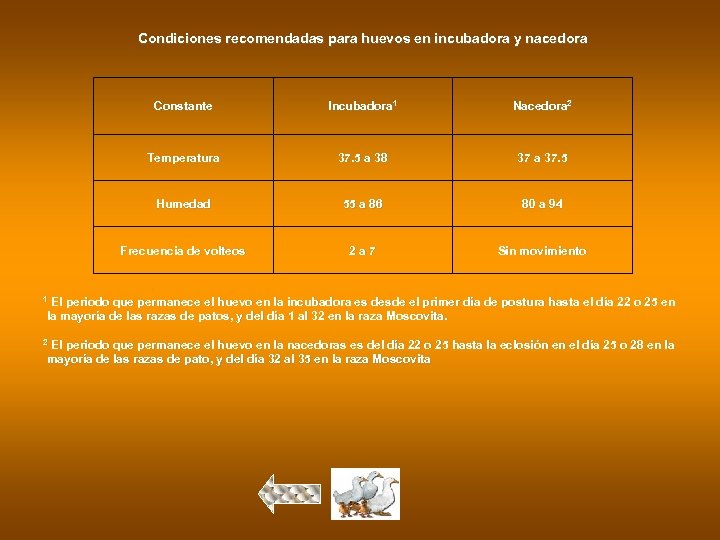 Condiciones recomendadas para huevos en incubadora y nacedora Constante Incubadora 1 Nacedora 2 Temperatura