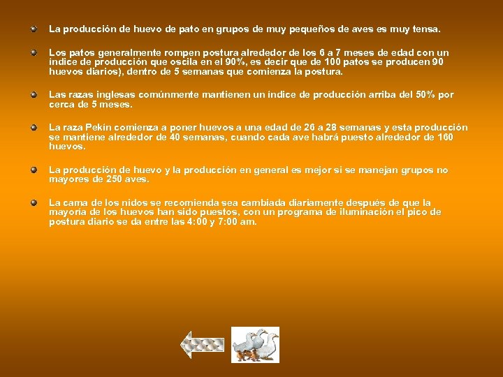 La producción de huevo de pato en grupos de muy pequeños de aves es