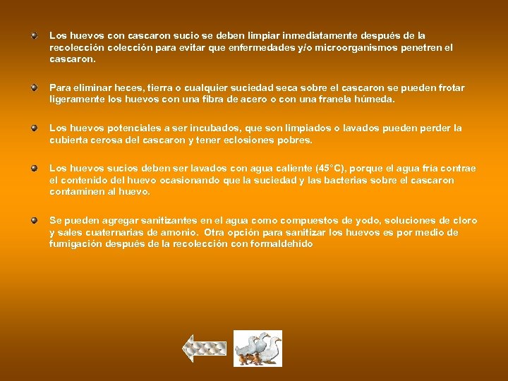 Los huevos con cascaron sucio se deben limpiar inmediatamente después de la recolección para