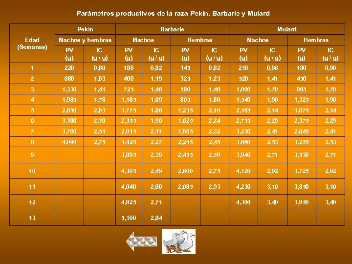 Parámetros productivos de la raza Pekín, Barbarie y Mulard Pekín Edad (Semanas) Barbarie Machos