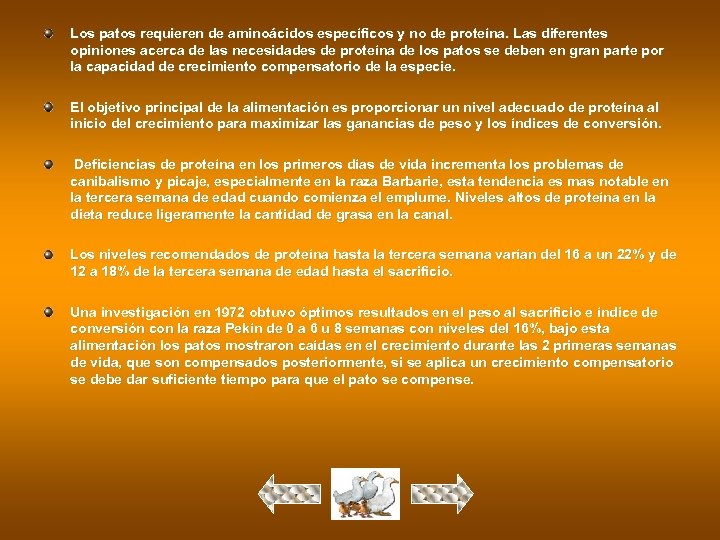 Los patos requieren de aminoácidos específicos y no de proteína. Las diferentes opiniones acerca