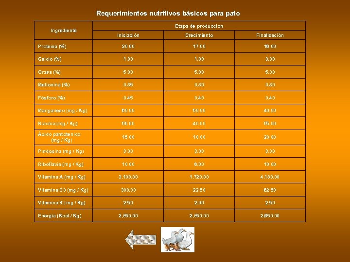 Requerimientos nutritivos básicos para pato Ingrediente Etapa de producción Iniciación Crecimiento Finalización Proteína (%)