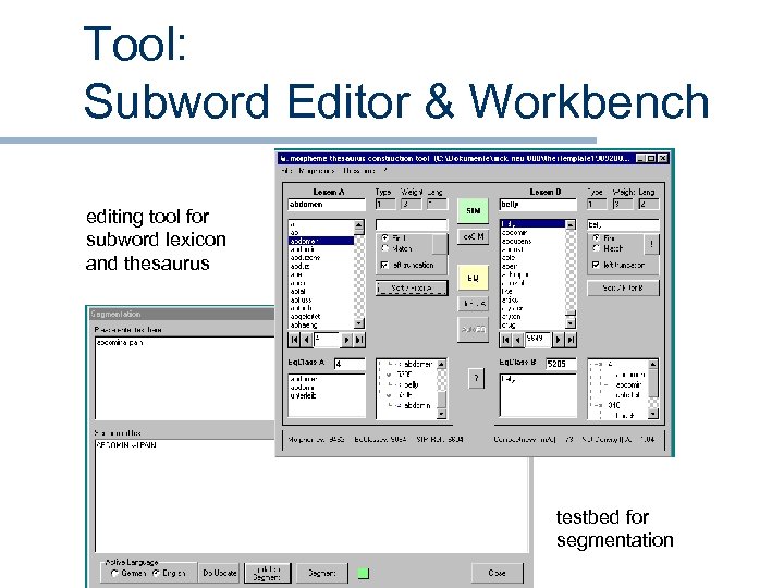 Tool: Subword Editor & Workbench editing tool for subword lexicon and thesaurus testbed for