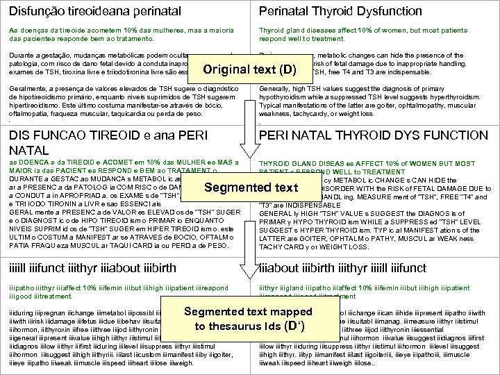 Disfunção tireoideana perinatal Perinatal Thyroid Dysfunction As doenças da tireóide acometem 10% das mulheres,