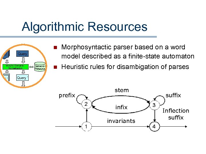 Algorithmic Resources approach n D n Heuristic rules for disambigation of parses Query Morpho-Semantic