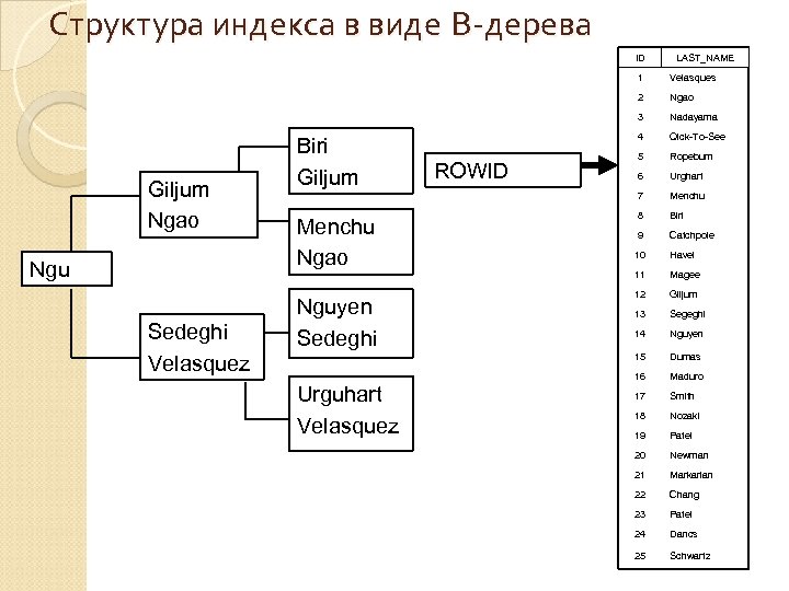 Структура индекса в виде В-дерева ID LAST_NAME 1 2 Giljum Ngao Ngu Sedeghi Velasquez