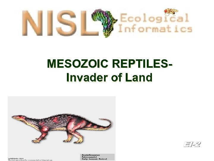 MESOZOIC REPTILESInvader of Land l l Presented by Wynn Haupt 