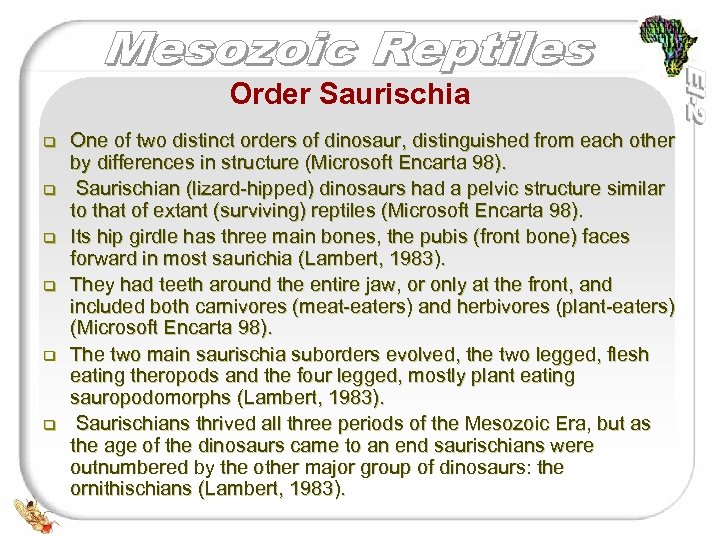 Order Saurischia q q q One of two distinct orders of dinosaur, distinguished from