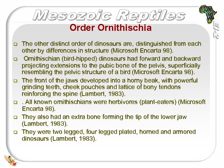 Order Ornithischia q q q The other distinct order of dinosaurs are, distinguished from