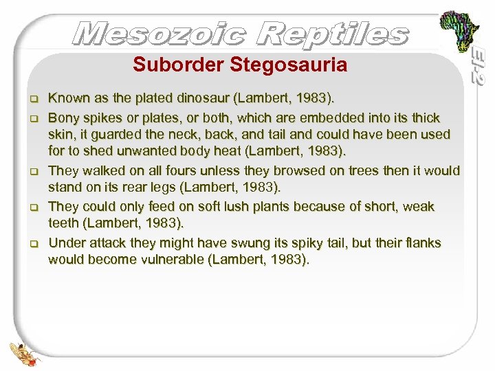 Suborder Stegosauria q q q Known as the plated dinosaur (Lambert, 1983). Bony spikes