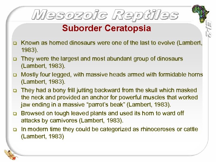 Suborder Ceratopsia q q q Known as horned dinosaurs were one of the last