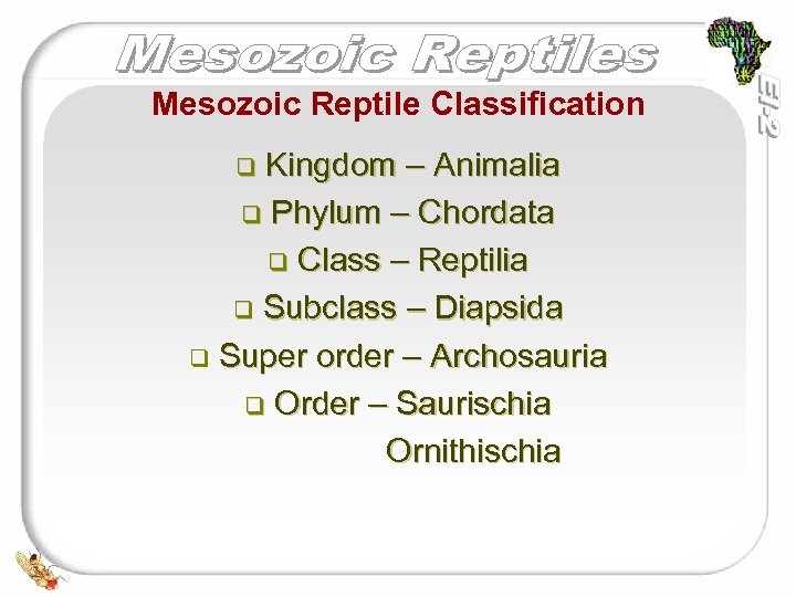 Mesozoic Reptile Classification Kingdom – Animalia q Phylum – Chordata q Class – Reptilia