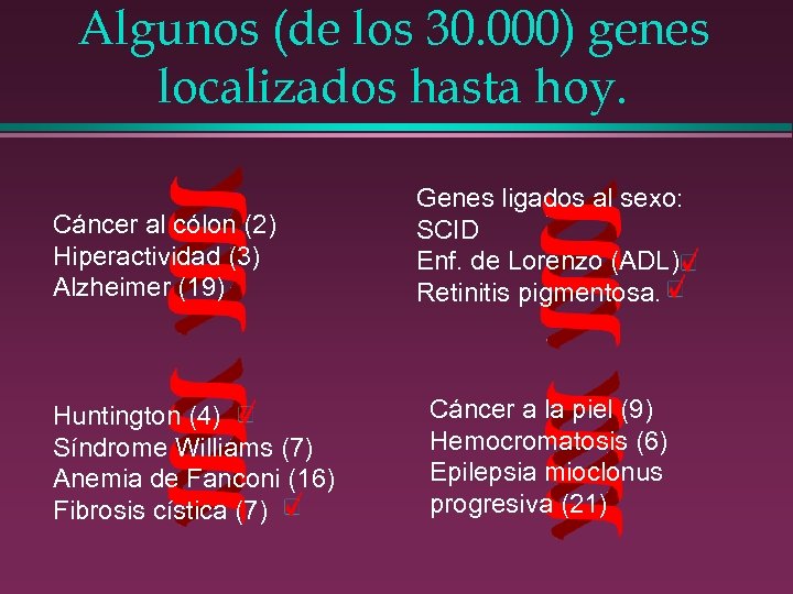 Algunos (de los 30. 000) genes localizados hasta hoy. Cáncer al cólon (2) Hiperactividad