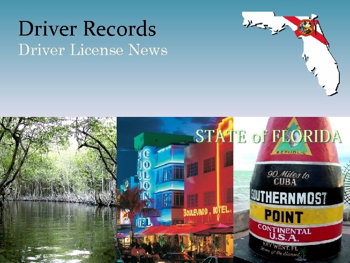 Driver Records Driver License News 