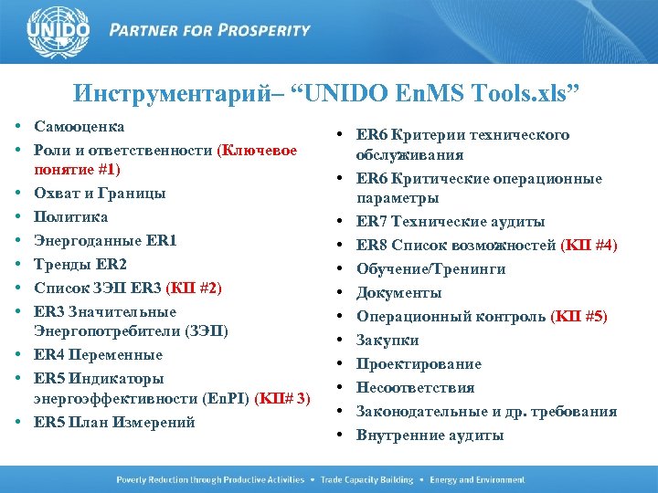 Инструментарий– “UNIDO En. MS Tools. xls” • Самооценка • Роли и ответственности (Ключевое понятие