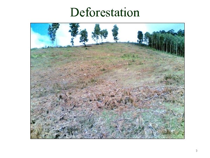 Deforestation 3 
