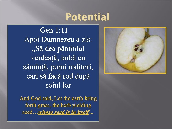 Potential Gen 1: 11 Apoi Dumnezeu a zis: „Să dea pămîntul verdeaţă, iarbă cu