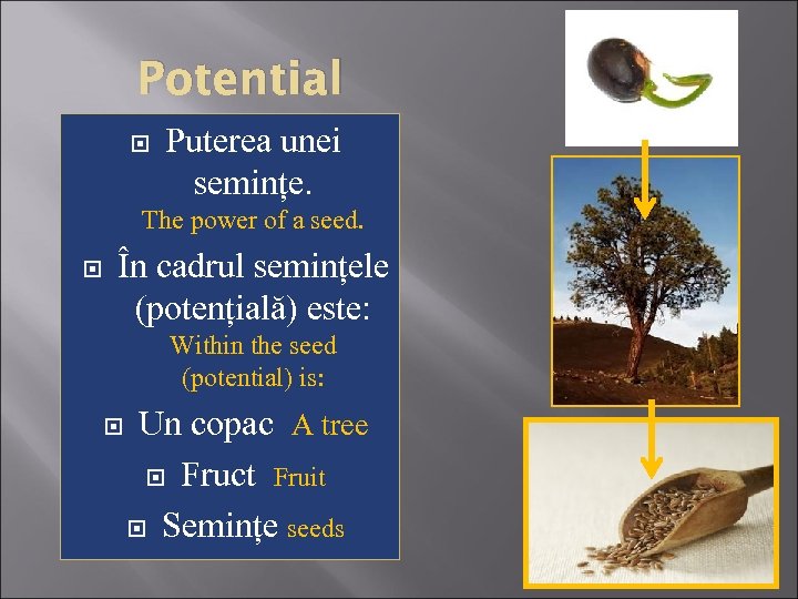 Potential Puterea unei semințe. The power of a seed. În cadrul semințele (potențială) este: