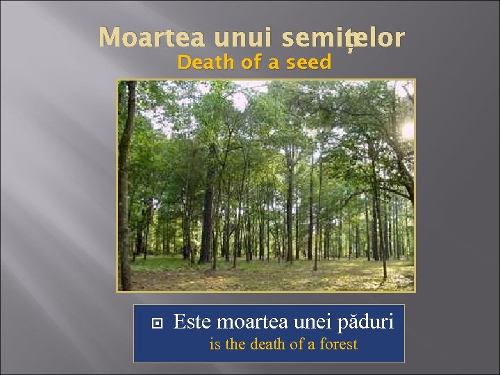 țelor Moartea unui semin Death of a seed Este moartea unei păduri is the