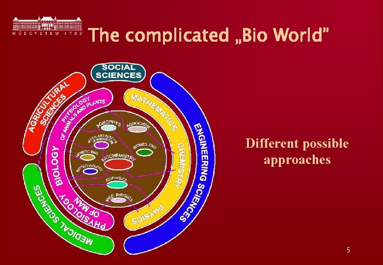 The complicated „Bio World” Different possible approaches 5 