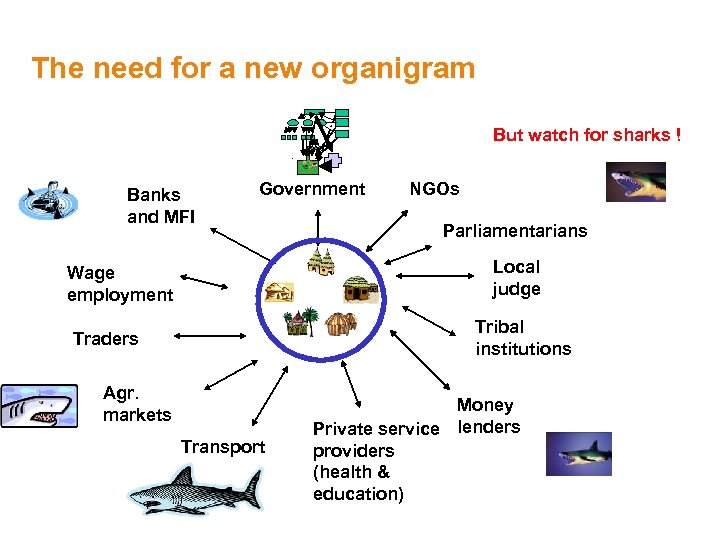 The need for a new organigram But watch for sharks !. Banks and MFI
