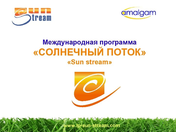 Sunny программа. ЧРИО программы Солнечный край.