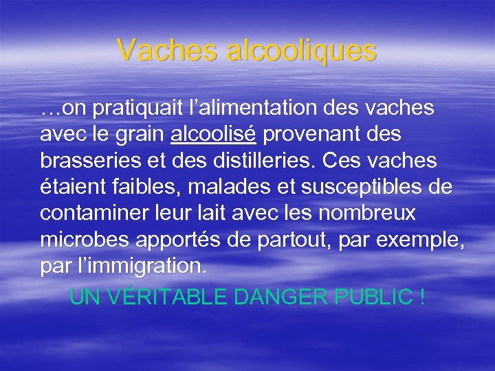 Vaches alcooliques …on pratiquait l’alimentation des vaches avec le grain alcoolisé provenant des brasseries