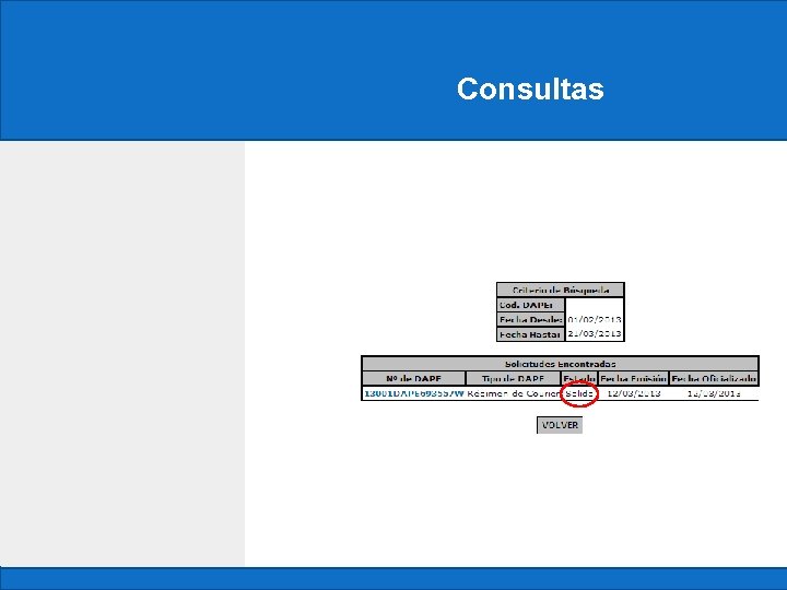 Constancia Consultas 